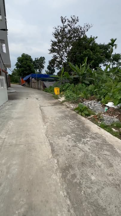 Đất nền An Đồng, Hải Phòng 119m² - Sổ đỏ chính chủ, giá thỏa thuận!