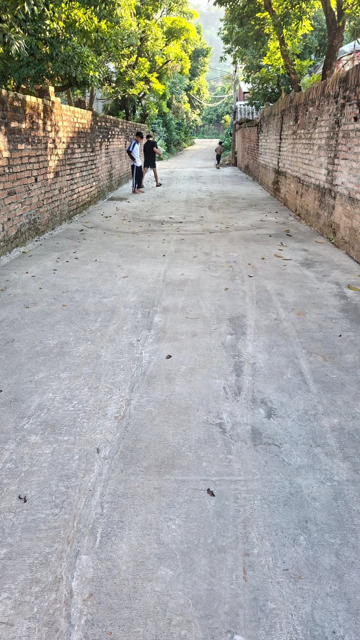 Đất nền Tân An Bắc Giang 101m² chỉ 800 triệu - Cơ hội đầu tư hấp dẫn!