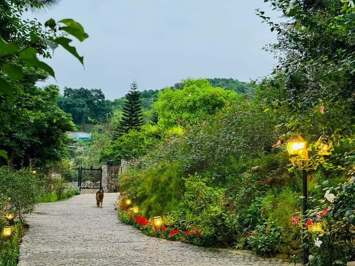 Đất thổ cư 175m² Tân Bình, Thái Bình giá 787.5 triệu - Chính chủ cần bán gấp!