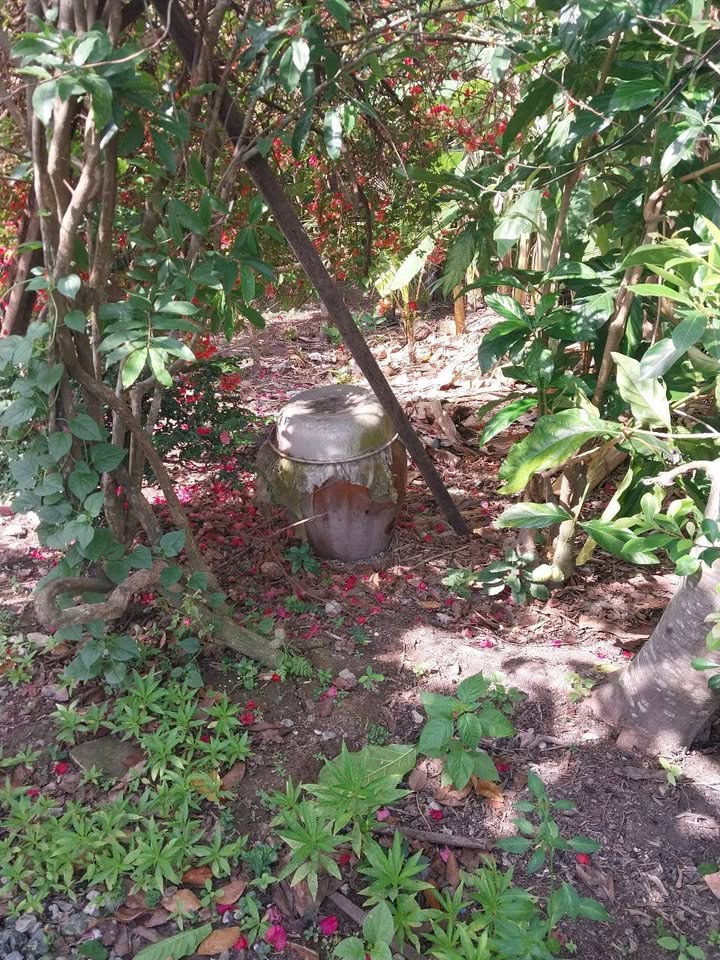 Đất thổ cư Ấp 4, xã Tân Thanh, Cái Bè 412m² giá 1.2 tỷ - Sổ hồng riêng, công chứng ngay!