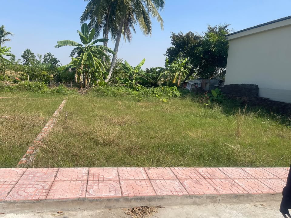 Đất nền Vĩnh Hòa Vĩnh Bảo 150m² giá 700 triệu - Tiềm năng đầu tư cao!