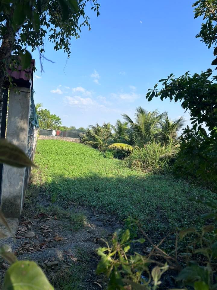 Đất nền Bình Mỹ Củ Chi 500m² giá 4.8 tỷ - Sổ riêng chính chủ!