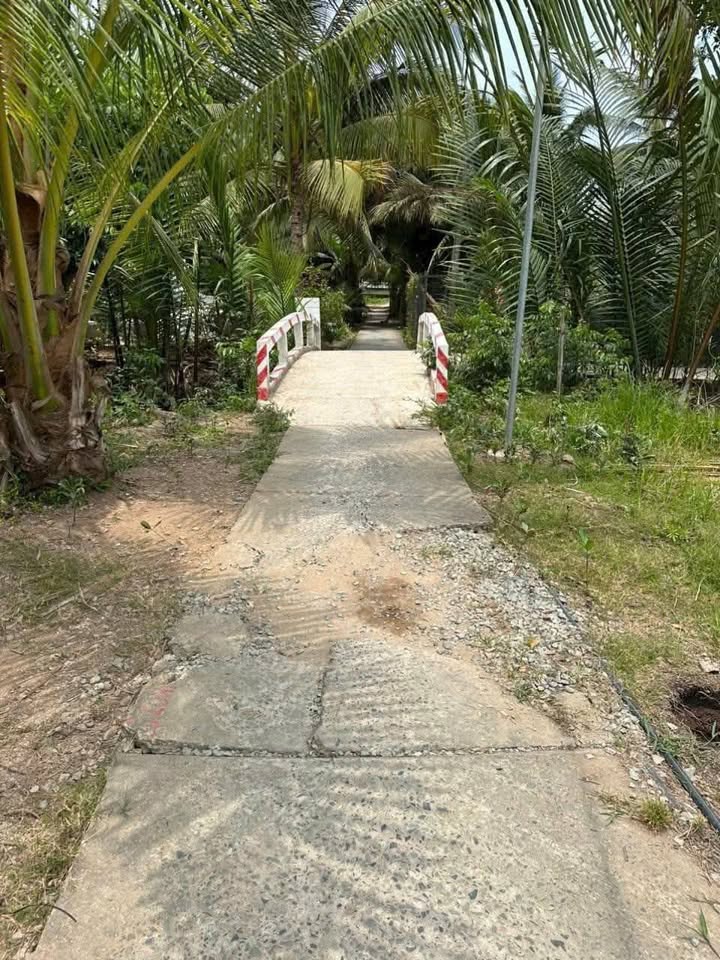 Đất nền tại xã Phú Nhuận, TP Bến Tre 1000m² giá 950 triệu - Tiềm năng đầu tư lớn!