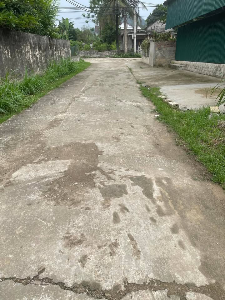 Đất nền thôn 6, xã Xuân Du, huyện Như Thanh 264m² giá 500 triệu - Cơ hội đầu tư hấp dẫn!