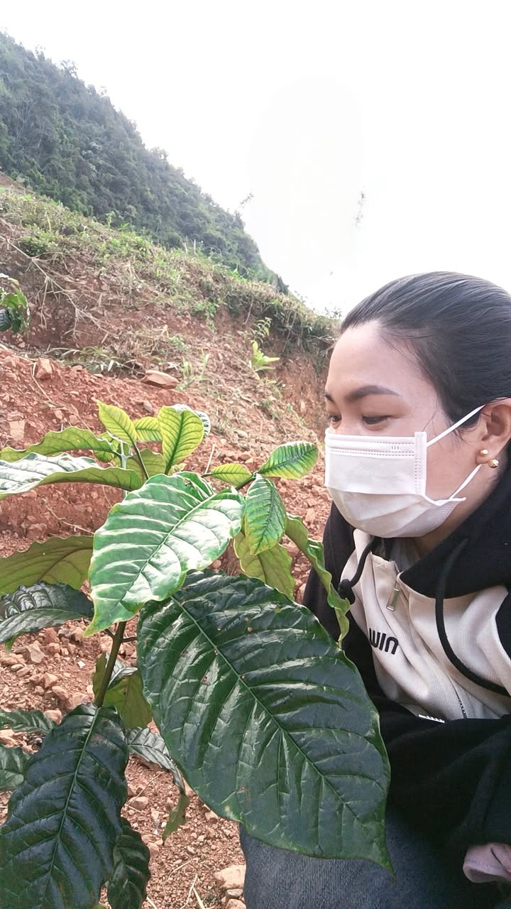 Farm Đắk Phơi 1.8ha giá 648 triệu - Đầu tư sinh lời ngay!