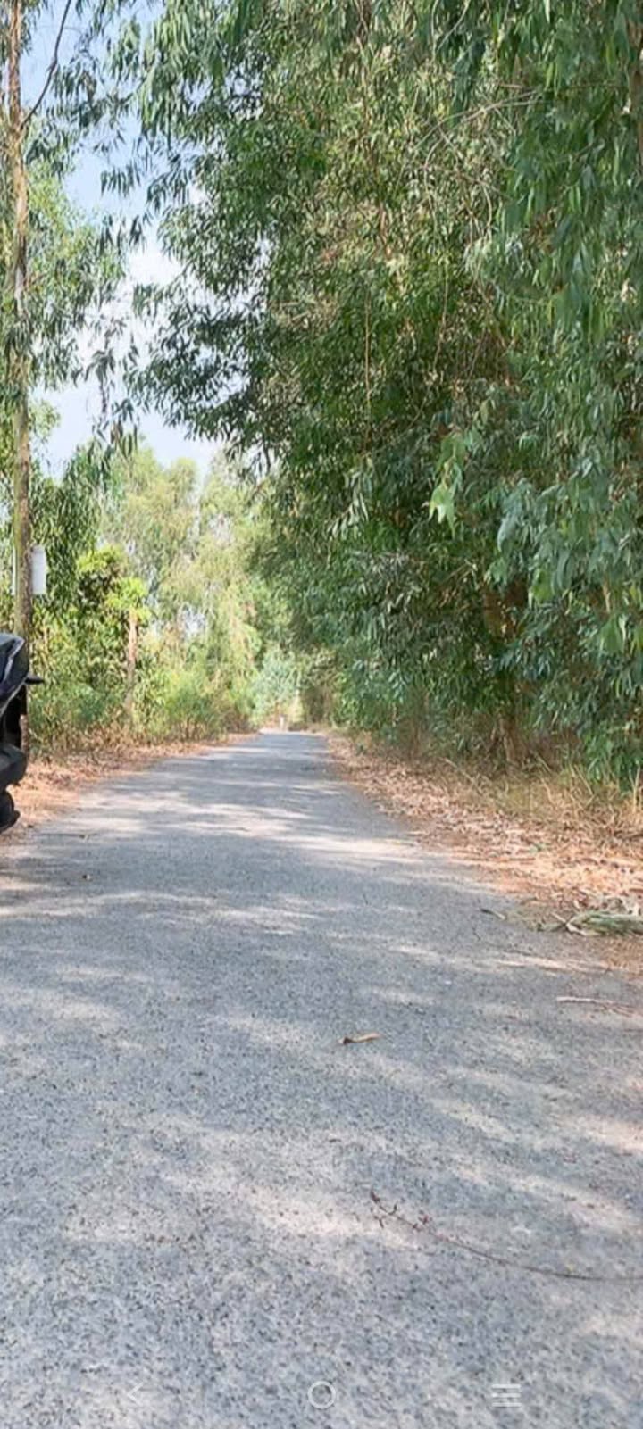 Đất nền Bình Thành Đồng Tháp 150m² giá 310 triệu - Sổ hồng chính chủ!