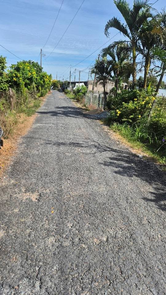 Đất vườn 1000m² tại Bình Hòa Phước, Long Hồ - Giá chỉ 1.6 tỷ, cơ hội đầu tư tuyệt vời!