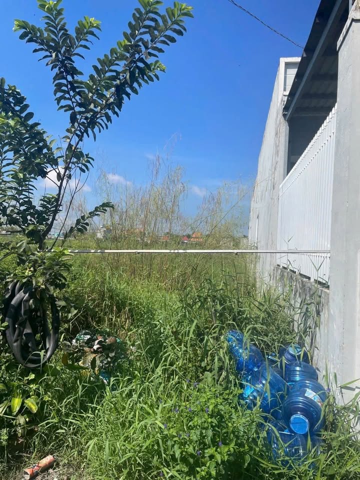 Đất nền Đức Hòa Đông 140m² giá 1.4 tỷ - Đầu tư sinh lời ngay!