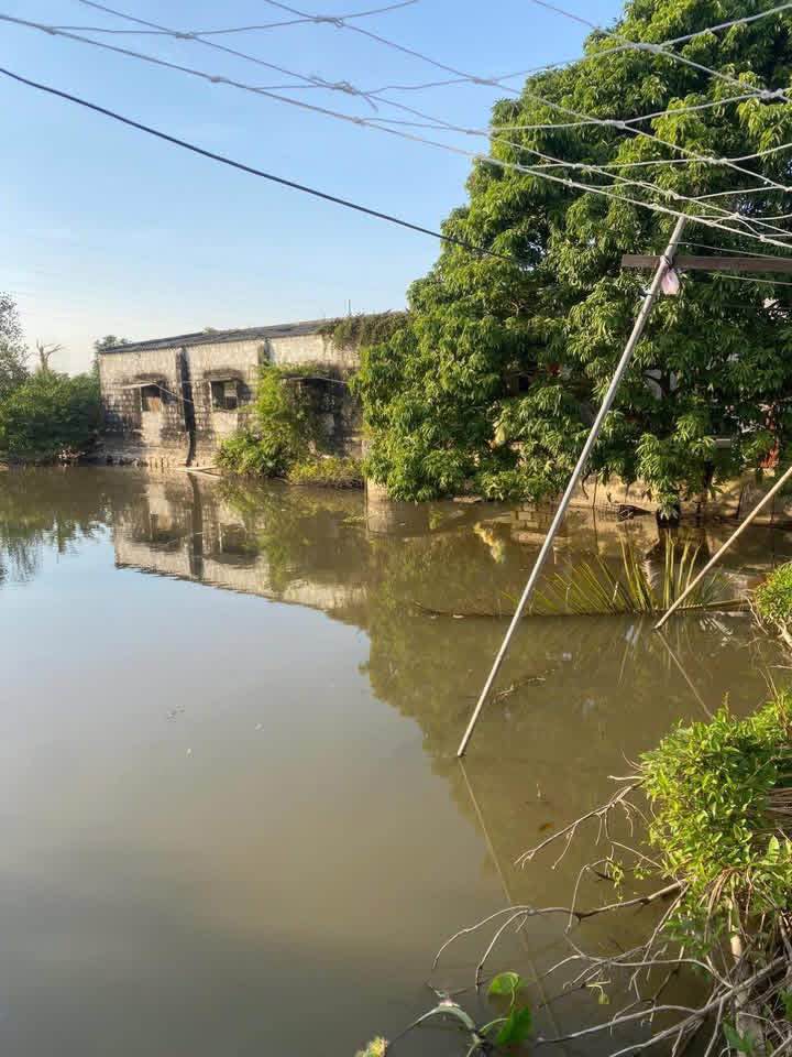 Nhà cấp 4 cho thuê tại Minh Lãng, Vũ Thư 1800m² - Giá chỉ 2 triệu/tháng!