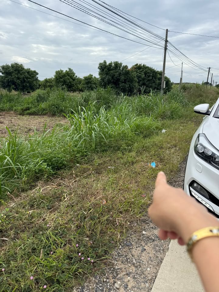 Đất nền Thôn 5, xã Ea Sô, huyện Ea Kar 2250m² giá 2.025 tỷ - Tiềm năng sinh lời cao!