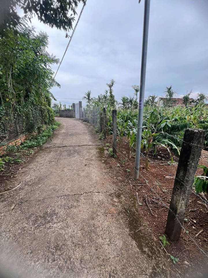 Đất thổ cư Ea Kao 800m² giá 1.7 tỷ - Khu dân cư sầm uất