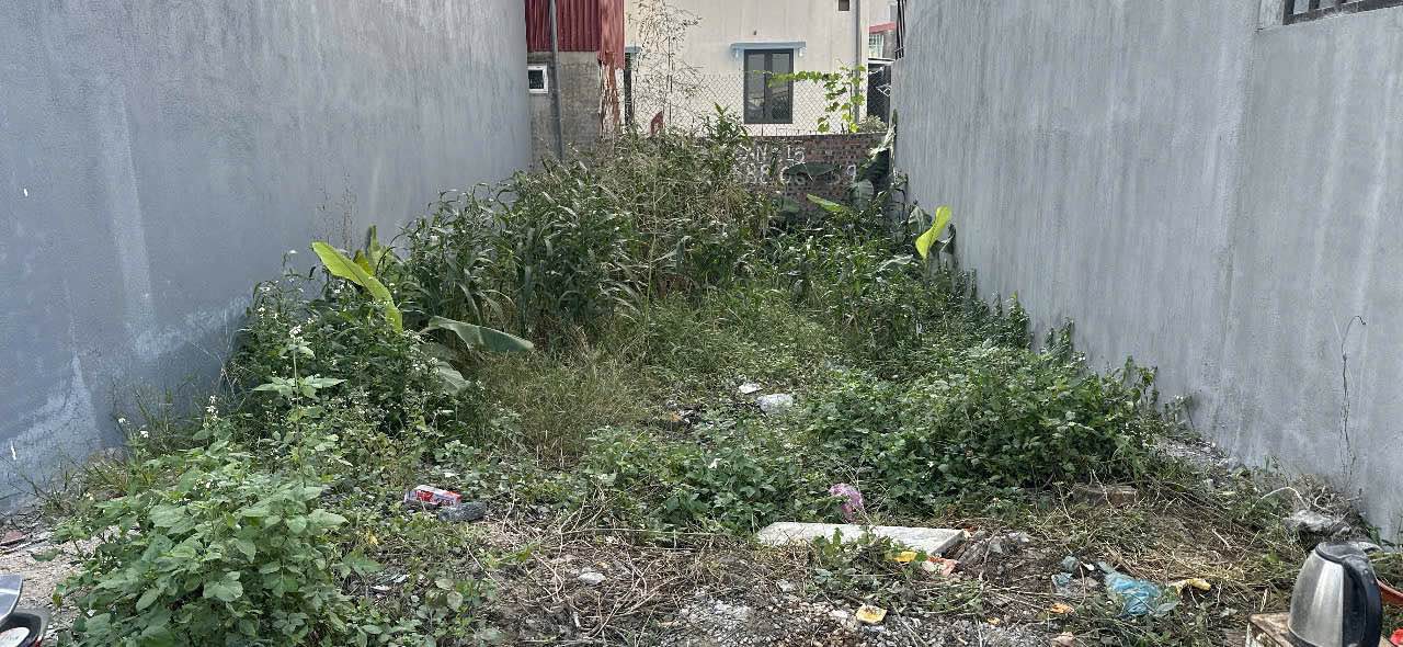 Lô đất 60m² Mỹ Tranh, Nam Sơn, An Dương giá 1.43 tỷ - Tiềm năng phát triển mạnh mẽ!