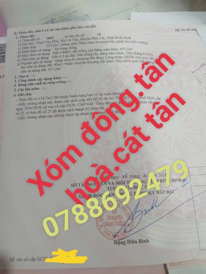 Đất vườn thổ cư 537m² xã Cát Tân, Phù Cát - Giá chỉ 400 triệu!