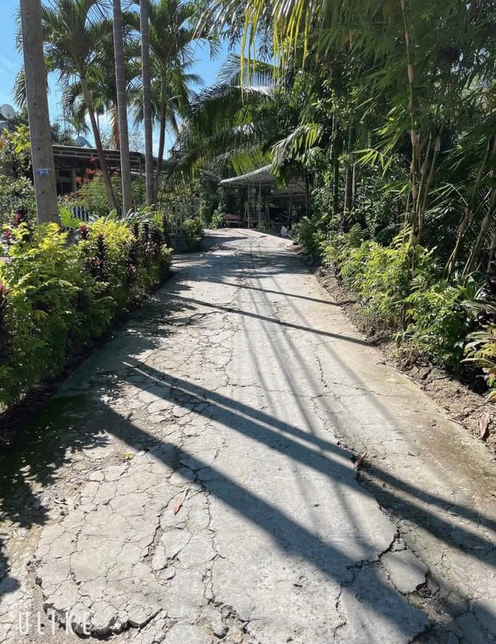 Đất nền Mỹ Khánh, Phong Điền, 1086m² giá 2.5 tỷ - Sổ hồng chính chủ