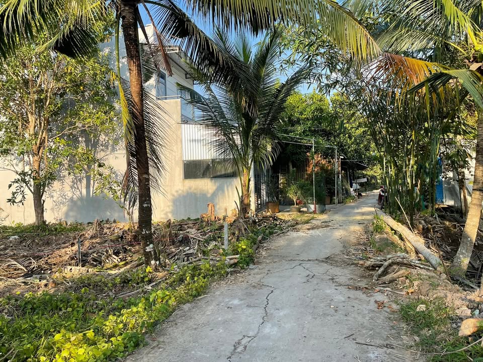 Đất nghỉ dưỡng 1593m² Mỹ Khánh, Phong Điền - Giá chỉ 3.8 tỷ, sổ hồng chính chủ!