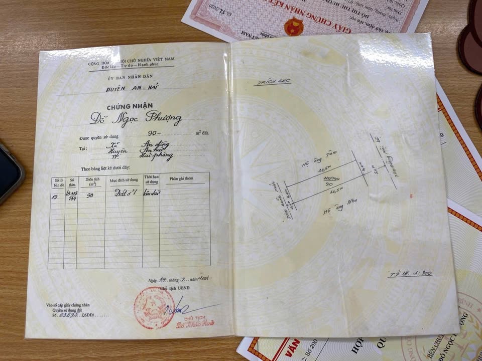 Đất nền thôn Bạch Mai, xã Đồng Thái, 100m² giá 3.2 tỷ - Đầu tư sinh lời hiệu quả!