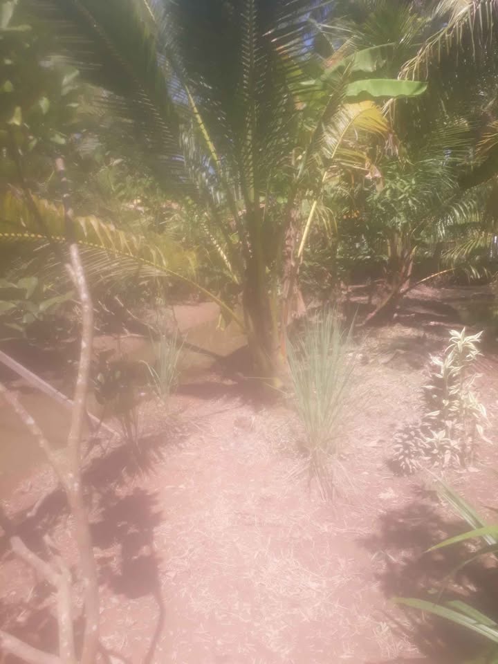 Đất nền Tiên Thủy 500m² giá 350 triệu - Cơ hội đầu tư hấp dẫn!