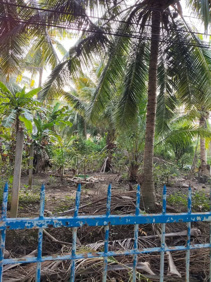 Đất tách thửa mặt tiền Đan Xe Du Lịch Lộc Thuận 600m² giá 27 tỷ - Cơ hội đầu tư hấp dẫn!