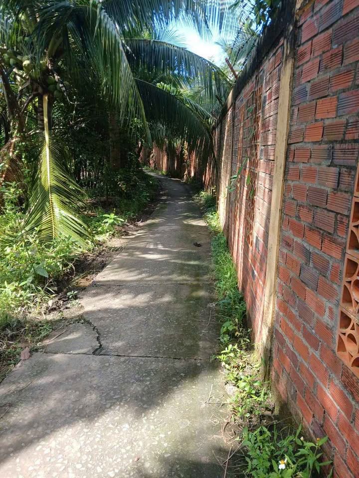 Nhà riêng Bến Tre 120m² giá 570 triệu - Gần cầu Chẹt Sậy, sổ đỏ chính chủ!