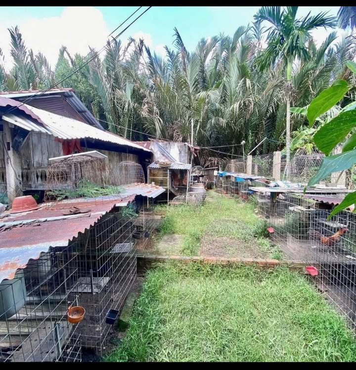 Nhà bán tại phường An Hội, Bến Tre 275m² giá chỉ 600 triệu - Hẻm thông thoáng