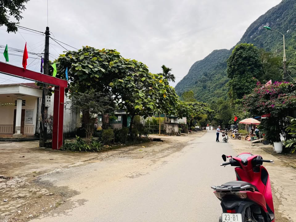 Đất nền thôn Tà Vải, Ngọc Đường 168m² giá 600 triệu - Mảnh đất lý tưởng cho vườn và chăn nuôi!