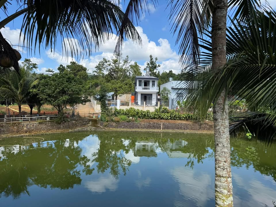 Đất nền Bảo Lộc 700m² giá 1.3 tỷ - Khung cảnh tuyệt đẹp, đầu tư sinh lời!