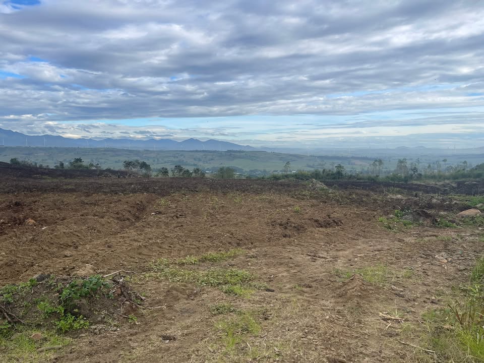 Đất rẫy Chơ Long, Kông Chro 4ha giá 750 triệu - Tiềm năng đầu tư cao!