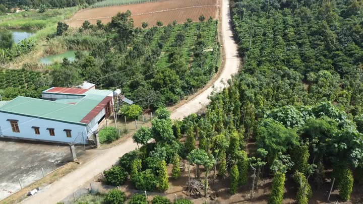 Đất 7 sào Liên Hà Lâm Đồng giá 4.75 tỷ - Đầu tư sinh lời đắc địa!