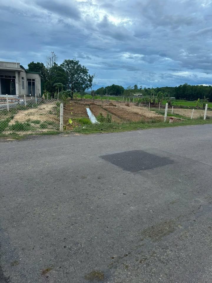 Đất vườn Diên Lâm 898m² giá 900 triệu - Mặt tiền đường nhựa 15m, chính chủ bán!