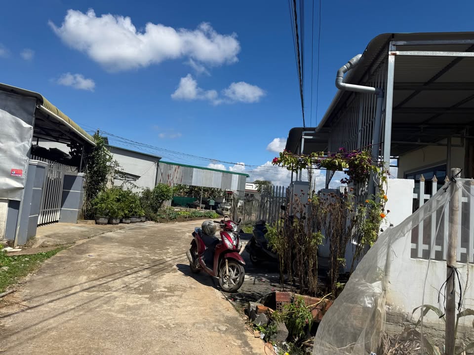 Đất nền Phú Hội 130m² giá chỉ 779 triệu - Cơ hội đầu tư tuyệt vời!