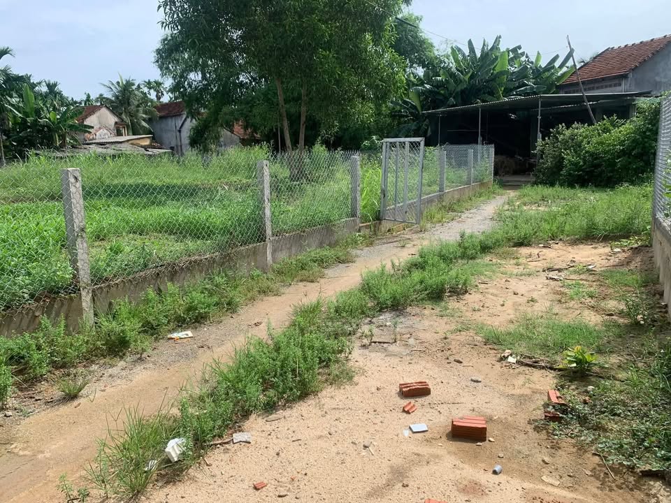 Đất nền Nghĩa Hành 200m² giá 700 triệu - Cơ hội đầu tư sinh lời!