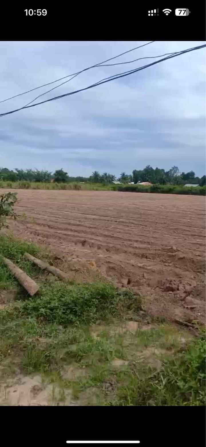 Đất CLN 74.000m² tại ấp 5, xã Trà Vong, Tân Biên - Giá chỉ 1.258 tỷ