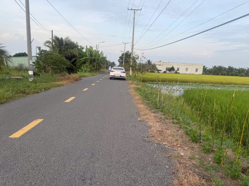 Đất nền 1000m² tại mặt tiền đường Cao Thị Mai - Tân Trụ - Chỉ 2 tỷ