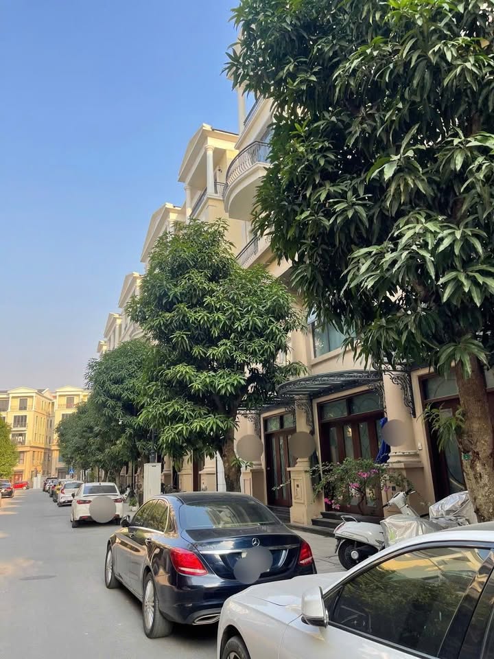 Liền kề Đảo Dừa Văn Giang 56m² giá 9.15 tỷ - Cơ hội đầu tư hấp dẫn!