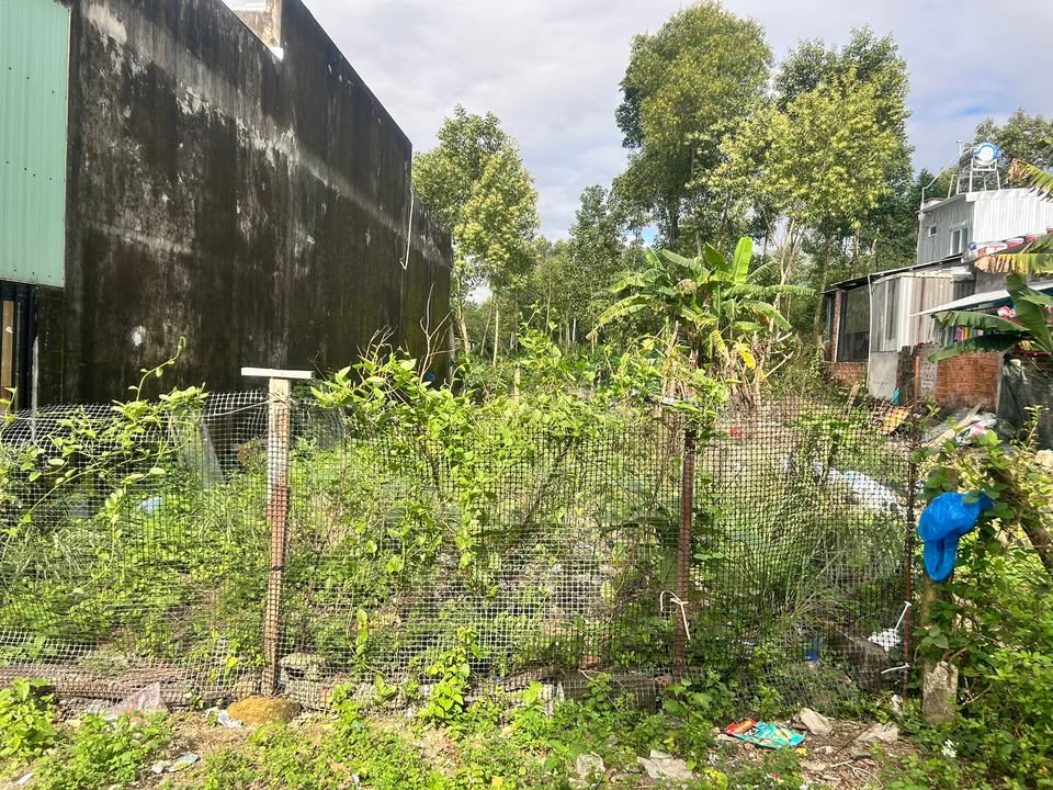 Đất nền Hòa Sơn Đà Nẵng 132m² giá 1.5 tỷ - Đầu tư sinh lời ngay!