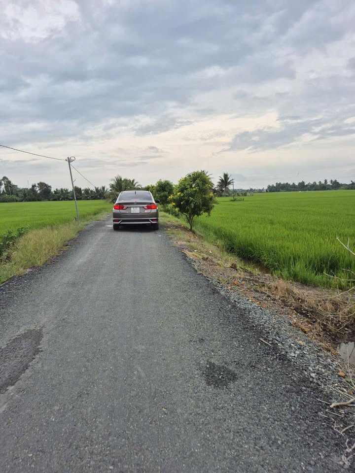 Đất thổ cư 140m² xã Bình An, Thủ Thừa, Long An - Cơ hội đầu tư hấp dẫn!