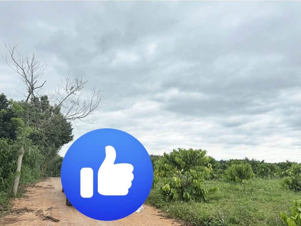 Đất nền 150m² tại phường Ea Kao, Buôn Ma Thuột - Đầu tư sinh lời chỉ 399 triệu!