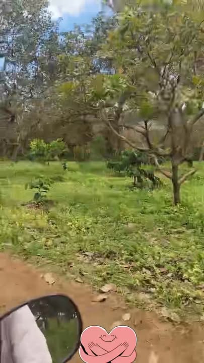 Đất Farm Bù Đăng 2.4ha giá 1.6 tỷ - Đường ô tô vào tận nơi!