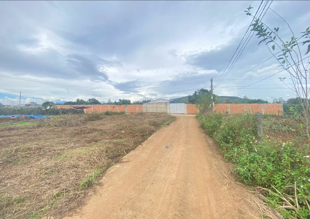 Lô đất Liên Hiệp, Đức Trọng 125m² giá 1.05 tỷ - Cơ hội đầu tư tuyệt vời!