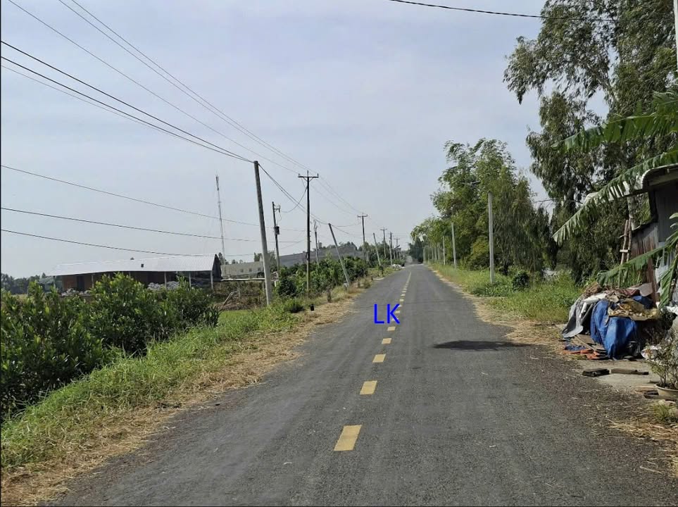 Đất lúa 40.000m² xã Phú Cường, Tam Nông - Đầu tư sinh lời tốt!