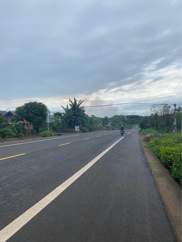 Đất mặt tiền Tỉnh Lộ 1 Ea Nuôl 700m² - Sổ đỏ chính chủ, phù hợp mở kho bãi