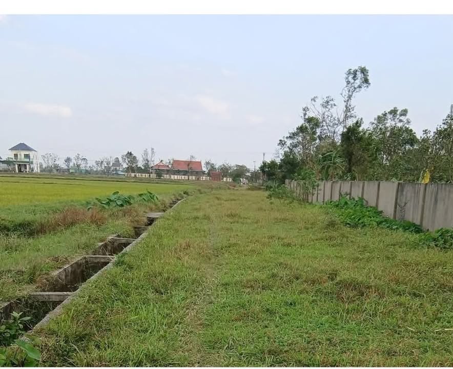 Đất thổ cư chính chủ Thạch Thắng 100.44m² giá 580 triệu - Cơ hội đầu tư tuyệt vời!