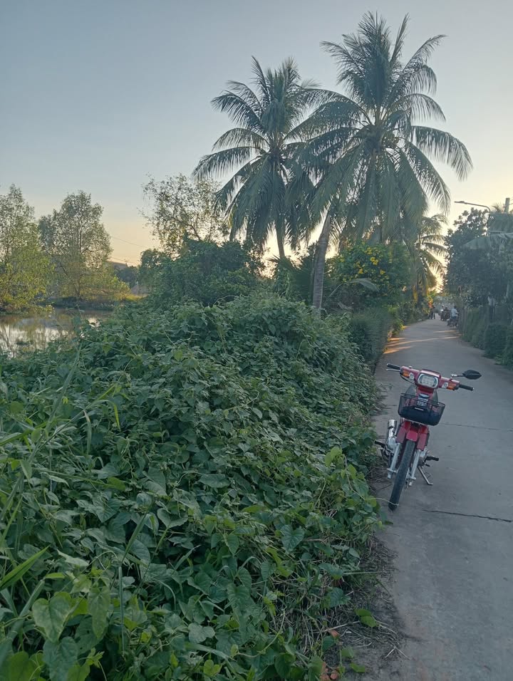 Đất nền mặt tiền ấp Bình Long, Cai Lậy 1065m² giá 1.8 tỷ - Cơ hội đầu tư sinh lời!