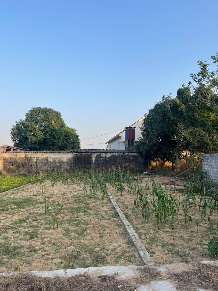 Đất nền Đa Lộc, Hậu Lộc 100m² giá 550 triệu - Đầu tư sinh lời hấp dẫn!