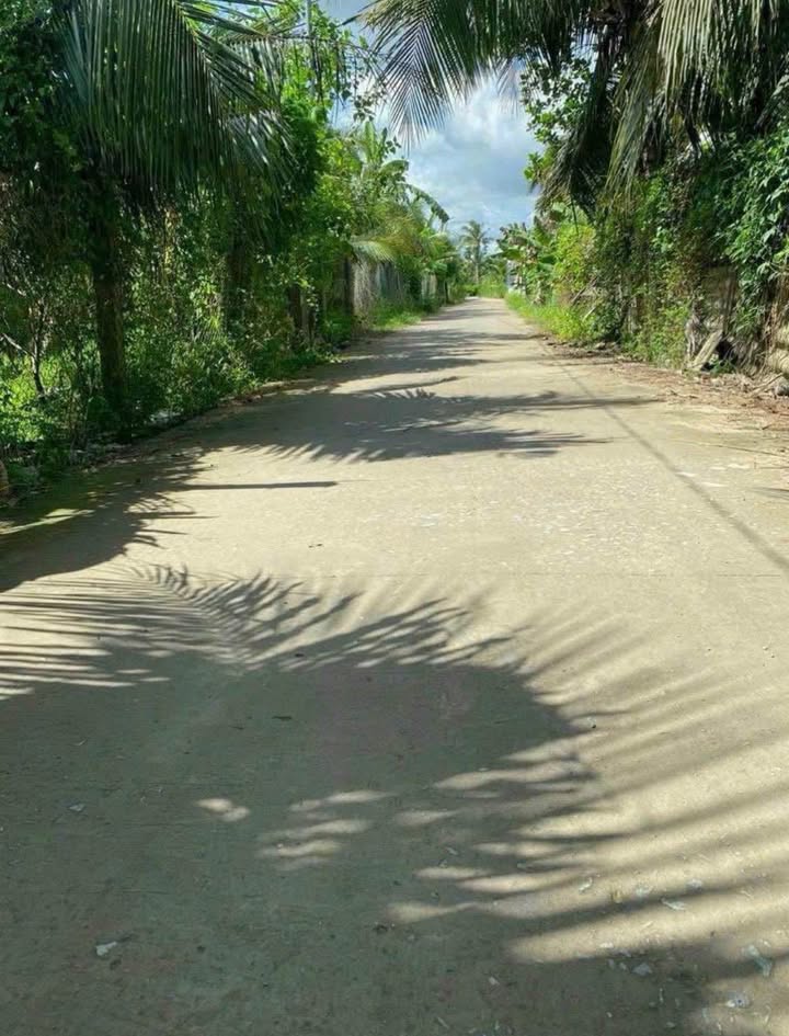 Đất thổ cư 113m² tại Sơn Đông, Bến Tre - Giá chỉ 750 triệu, sổ hồng chính chủ!