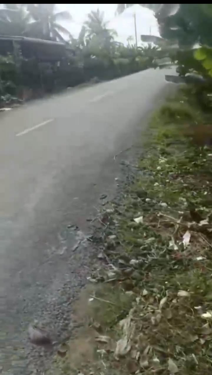 Đất nền mặt tiền Huyện lộ 10, xã Mỹ Chánh, 1200m² - Giá chỉ 1.2 tỷ!