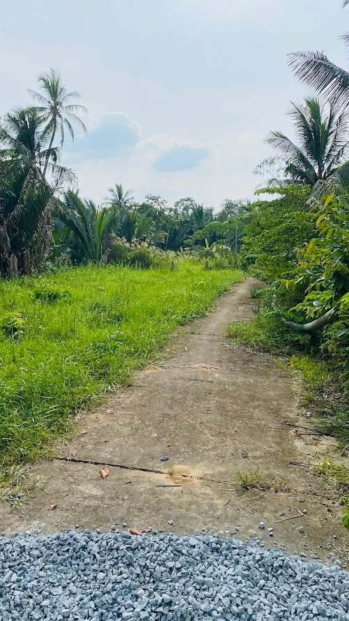 Đất nền 500m² tại xã Sơn Phú, Giồng Trôm, Bến Tre - Giá chỉ 700 triệu!