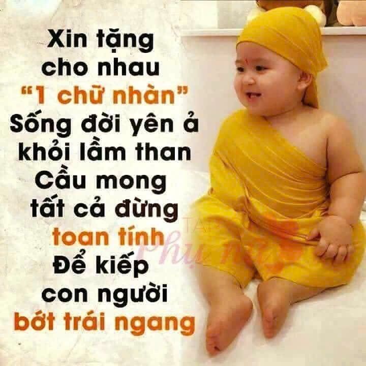 Đất nền khu phố 2, phường Hội Nghĩa, Bình Dương 500m² giá 6 tỷ - Đầu tư sinh lời ngay!