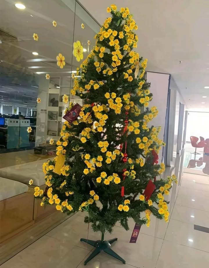 Đất nền 500m² Võ Nguyên Giáp, Hải Phòng - Sổ đỏ chính chủ, giá tốt!