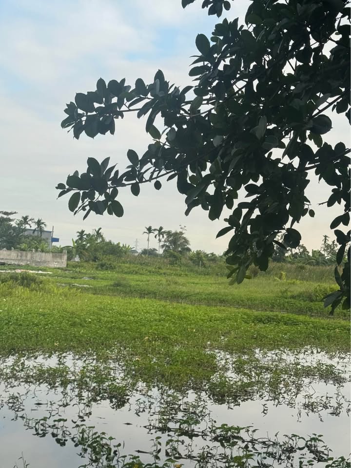 Đất mặt đường nhựa 8m tại Đồng Hòa, Kiến An - 66,72m² chỉ 3,5 tỷ!